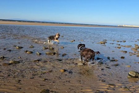 Screenshot_20251015_164044_Photos.jpg Screenshot_20251015_164044_Photos.jpg