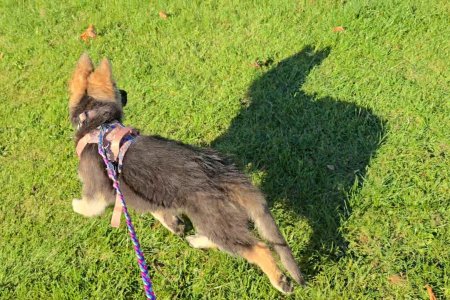 Screenshot_20251015_164324_Photos.jpg Screenshot_20251015_164324_Photos.jpg