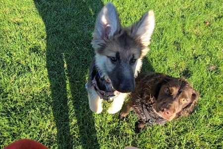 Screenshot_20251015_164220_Photos.jpg Screenshot_20251015_164220_Photos.jpg