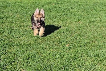 Screenshot_20251015_164206_Photos.jpg Screenshot_20251015_164206_Photos.jpg