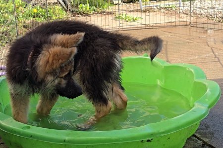 Screenshot_20251015_164109_Photos.jpg Screenshot_20251015_164109_Photos.jpg