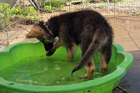 Screenshot_20251015_164126_Photos.jpg Screenshot_20251015_164126_Photos.jpg