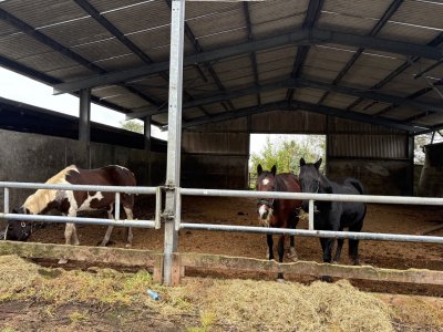 IMG_9015.jpeg IMG_9015.jpeg