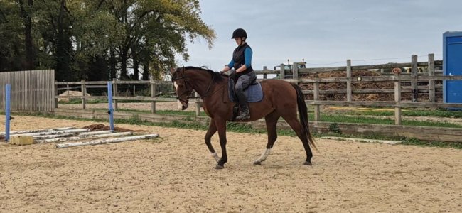 Screenshot_20251018_185813_Video Player.jpg