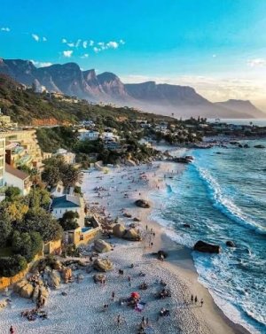 IMG_0350.jpeg IMG_0350.jpeg