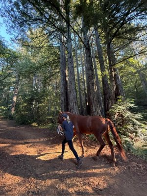 00b06c10-51bc-4fac-9cd9-4eaf7645669a.jpeg 00b06c10-51bc-4fac-9cd9-4eaf7645669a.jpeg