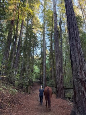 31c48fae-9cb3-4cff-b12e-79e20ca5ae91.jpeg 31c48fae-9cb3-4cff-b12e-79e20ca5ae91.jpeg