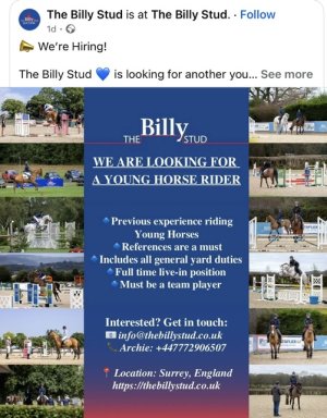 IMG_3395.jpeg IMG_3395.jpeg