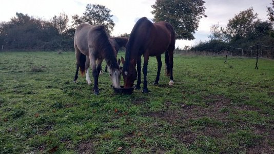 20251018_090342.jpg 20251018_090342.jpg