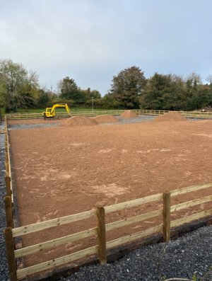 IMG_3027.jpeg IMG_3027.jpeg