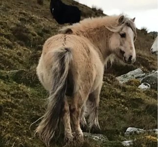 Screenshot_20251026-084317~2.jpg Screenshot_20251026-084317~2.jpg