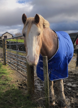 1761482689937.png 1761482689937.png