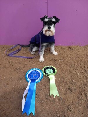 1000030353.jpg 1000030353.jpg