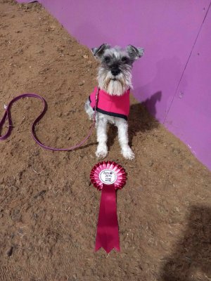 1000030354.jpg 1000030354.jpg