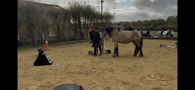 IMG_5877.jpeg IMG_5877.jpeg