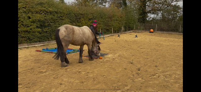 IMG_5883.png IMG_5883.png