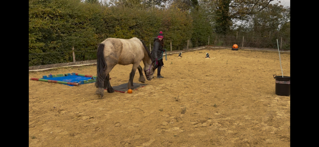 IMG_5884.png IMG_5884.png