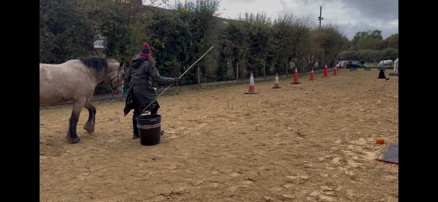 IMG_5885.png IMG_5885.png