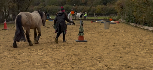 IMG_5887.png IMG_5887.png