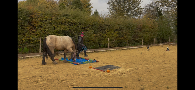 IMG_5890.png IMG_5890.png