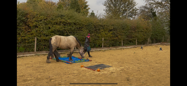 IMG_5891.png IMG_5891.png