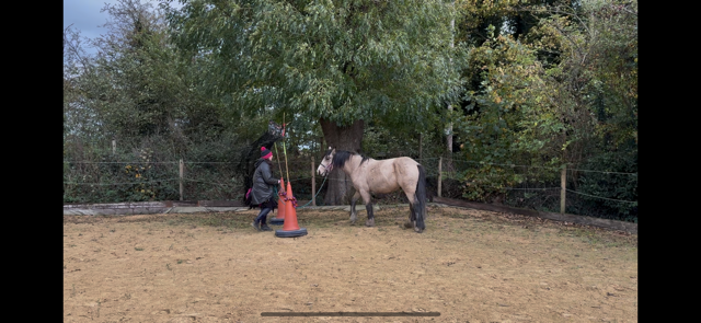 IMG_5892.png IMG_5892.png