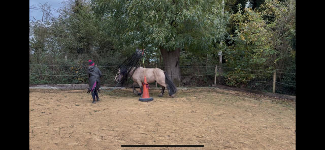 IMG_5898.png IMG_5898.png