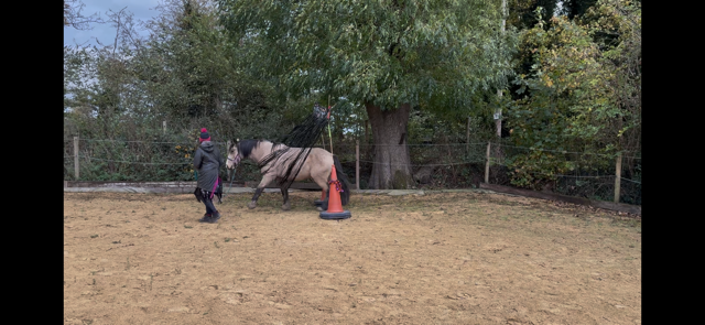 IMG_5900.png IMG_5900.png