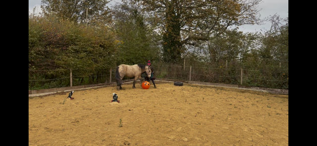 IMG_5906.png IMG_5906.png