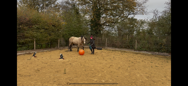 IMG_5907.png IMG_5907.png