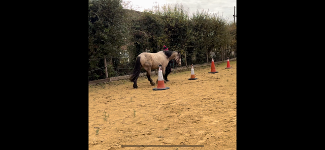 IMG_5911.png IMG_5911.png