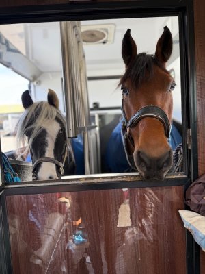 IMG_0983.jpeg IMG_0983.jpeg