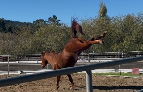 IMG_2780.jpeg IMG_2780.jpeg