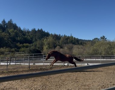 IMG_2778.jpeg IMG_2778.jpeg