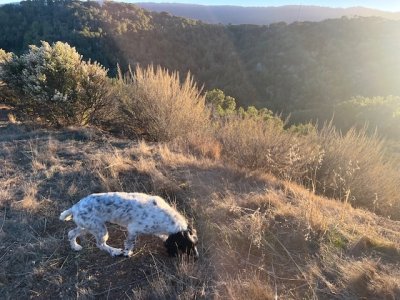 IMG_2764.jpeg IMG_2764.jpeg