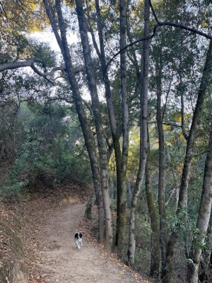 IMG_2762.jpeg IMG_2762.jpeg