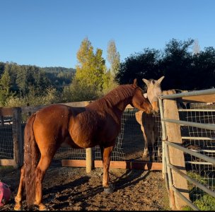 IMG_2831.jpeg IMG_2831.jpeg