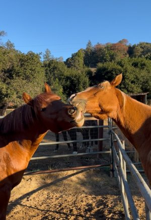 IMG_2830.jpeg IMG_2830.jpeg