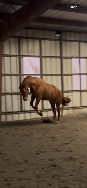 IMG_2799.png IMG_2799.png