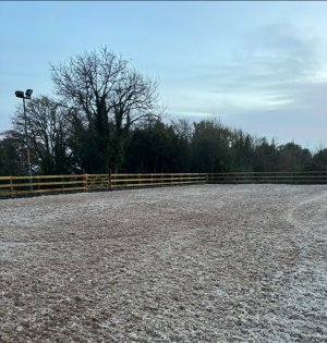 IMG_3231.jpeg IMG_3231.jpeg