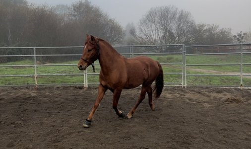 IMG_2870.jpeg IMG_2870.jpeg