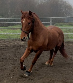 IMG_2871.jpeg IMG_2871.jpeg