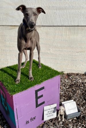 IMG_5464.jpeg IMG_5464.jpeg