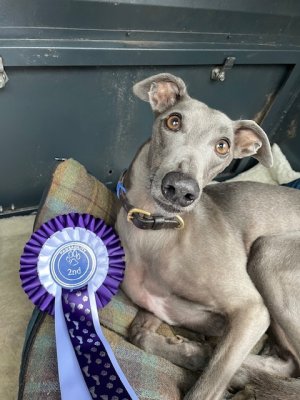 IMG_5471.jpeg IMG_5471.jpeg