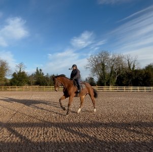 IMG_3413.jpeg IMG_3413.jpeg