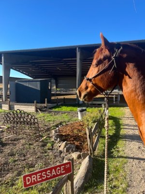 IMG_2925.jpeg IMG_2925.jpeg