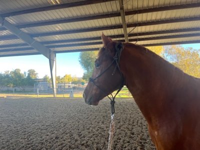 IMG_2929.jpeg IMG_2929.jpeg