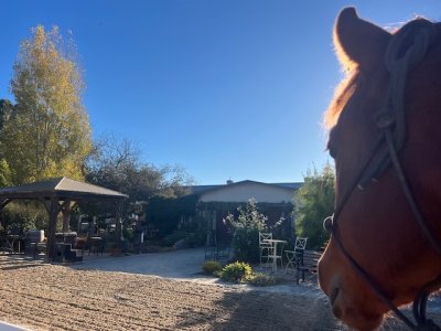 IMG_2942.jpeg IMG_2942.jpeg