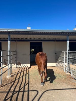 IMG_2949.jpeg IMG_2949.jpeg