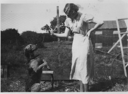 1000007496.jpg 1000007496.jpg